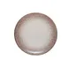 ID Fine 5316176 Round Coupe Rim Fine China Plate, 10.67" Diameter, Brulee Deserto, Dishwasher Safe 1 image