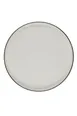 ID Fine 5321591 Flat Round Plate, 10" Diameter Fine China, Modest Green, Dishwasher Safe 1 image
