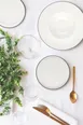 ID Fine 5324474 Round China Plate, 11" Diameter, 1" Height, Modest Black, Edge Rim, Dishwasher Safe 2 image