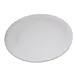 Carlisle 4350002 - Plastic Dinner Plate, 10.2" White Melamine, Dishwasher Safe, BPA‑Free - 1/Case 1 image