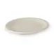 Concasse MCPLMR25 - 10" Round Melamine Plate, Beige Reusable Plastic Dinnerware, 10" Diameter 1 image