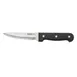 CAC China SKP3-02P Steak Knife, 5" Blade, Jumbo, Plastic Handle - 12/Pack 1 image