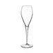 Steelite LB1041202 Champagne / Sparkling Wine Glass 1 image