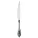Reserve by Libbey 935-2762 Steak Knife, 9½" Stainless Steel Handle, 18/10 Blade, 4 mm – 12/Case 1 image