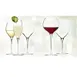 Libbey 9432 Flute Wine Glass, 8‑3/4 oz (9½" H), Tempered Glass Stem with Flat Foot – 12/Case 2 image