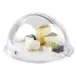 APS Germany APS 18388 Clear Cake Cover, 9" Round Roll‑Top, SAN Plastic, 9‑1/2" W, 16" H, - 1/Case 1 image