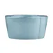 Libbey FH-512H Blue Hen Porcelain Bouillon Cups, 8 oz, 4" dia × 2" H – 36/Case 1 image