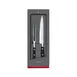 Victorinox 7.7243.2 Maitre 2-Piece Carving Set, 8" Carving Knife, 6" Carving Fork, Black, Roll Bag 1 image