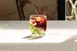 LAV HORECA ATT329 - Atlanta Whiskey Glass, 9 3/4 oz (H 3 1/2", R⌀ 2 7/8"), Soda Lime Glass - 12/Case 2 image
