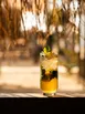 LAV HORECA TOK354 - Tokyo Long Drink Glass, 18 1/4 oz (0.54 L), Height 6½", Soda Lime Glass - 12/Case 2 image