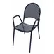Plantation Prestige 2181100-04 - Outdoor Arm Chair, Charcoal, Steel Back & Seat, Tubular Frame, Mesh, Metal 1 image
