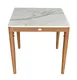 Plantation Prestige 8262020-0160 - Bali End Table, 20"W x 20"D x 20"H, White Sintered Stone Marble Top, Aluminum Frame, Golden Oak Finish 1 image