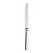 Turgla ETE1610-5 Baguette Dinner Knife, 9.25" Silver Mono, 18/10 Stainless Steel Solid Handle 1 image