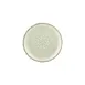 Turgla T-RMZT25DZ-12 Round 9.75" Green Porcelain Dinner Plate, Fine China Tableware 2 image