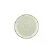 Turgla T-RMZT25DZ-12 Round 9.75" Green Porcelain Dinner Plate, Fine China Tableware 1 image
