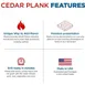 Jaccard 201408-50 Premium Cedar Grilling Planks / Wraps 2 image