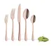Amefa 1410AEB000340 Dessert Fork, 7"-3/16, 18/10 Stainless Steel, Austin PVD Copper Finish - 1 Dozen 2 image