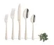 Amefa 1410AVB000325 Dinner Spoon - 8" Satin Finish, 18/0 Stainless Steel, PVD Champagne, 1 Dozen 2 image