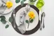 Davanti Frieling 80002 - Round 15" Vinyl Placemat, Dark Brown, Antimicrobial, Anti‑Slip, Dishwasher 2 image