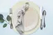 Davanti Frieling Mattola Placemats 80003 - Round 15" Vinyl Placemat Ecru, Anti‑Slip, Dishwasher Safe 2 image