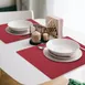Davanti Frieling Mattola Placemats 80108 - Vinyl Placemat 17" x 13", Earth Red, Dishwasher Safe 2 image