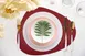Davanti Frieling Mattola Placemats 80208 - Vinyl Placemat 18.5" x 15.3", Red, Dishwasher Safe 2 image