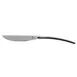 RAK Porcelain CMZSTKMB - 9-2/3" Steak Knife, Stainless Steel Handle, 18/10 Blade, 8"‑9" - 1/Case 1 image