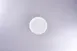 RAK Porcelain PLVICP15 China Plate 1 image