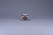 RAK Porcelain REA116CU08E14 - Espresso Porcelain Cup, 2.7 oz (2.56" Dia.), Non‑Stackable - 12/Case 1 image