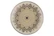 RAK Porcelain REANNDP36E10 Argila Cartagena Plate, 14.2" Dia, 84.5 oz Deep Coupe, Porcelain - 3/Case 1 image