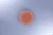 RAK Porcelain RETANFP17E04 Tero Annaba Round Plate, 6.5" Diameter, Flat Edge Porcelain, 24/Case 1 image