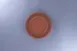 RAK Porcelain RETANFP21E02 - Tero Denia Round 8" Plate, Flat Edge Porcelain Dinnerware, 24/Case 1 image