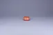 RAK Porcelain RETINTB06E19 0 - 8 oz Bowl China 1 image