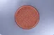 RAK Porcelain RETLUDP27E06 - Tero Granada Round Plate, 10.6" Diameter Deep Rim Porcelain, 12/Case 1 image