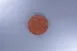 RAK Porcelain RETLUFP16E05 China Plate 1 image