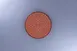 RAK Porcelain RETLUFP21E06 - 8" Round Flat Edge Porcelain Dinner Plate, 12/Case 1 image