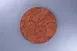 RAK Porcelain RETLUFP27E05 - Tero Catania Round Plate, 10.6" Diameter, Flat Edge Porcelain, 12/Case 1 image