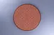 RAK Porcelain RETLUFP29E06 Tero Granada Round Plate, 11.4" Diameter, Flat Edge Porcelain, 12/Case 1 image