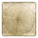 RAK Porcelain WDEDSQ30MG Square Plate, 11.75" Moss Green Porcelain, Lead-Free, Oven Safe - 6/Case 1 image