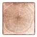 RAK Porcelain WDEDSQ30WB - 11½" Square Plate, Porcelain, Oven/Microwave/Dishwasher Safe - 6/Case 1 image
