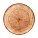 RAK Porcelain WDNNPR21TB Round Plate 8¼" Diameter Brown Porcelain Oven‑Microwave Safe - 12/Case 1 image