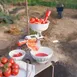 Hamilton Beach 07-0801 Tomato Press & Sauce Maker, Stainless Steel Screen, Suction & C‑Clamp Base 5 image