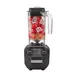 Hamilton Beach HBB255-CE (International) Rio Bar Blender, Two Speed Motor 2 image