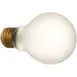 AllPoints 381481 Bulb, 100W 120V, 4" x 2‑3/8" SAF‑T‑COTE® Coated, Approved - 1/Each 1 image