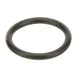 AllPoints 1001044 O-ring, 1-5/8" ID, 2" OD 1 image