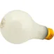 AllPoints 2531143 Shatter-Resistant Light Bulb, 120V 25W, Translucent Coating Containing Glass 1 image