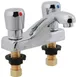 AllPoints 1171320 Metering Faucet 1 image