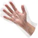 AllPoints 1331023 Disposable Gloves - Clear Polyethylene One Size Fits All Finish - 1/Box 1 image