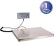 AllPoints 151120 Digital Portion Scale 1 image