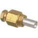 AllPoints 261674 Pilot Orifice, 3/16 CCT, .011 1 image